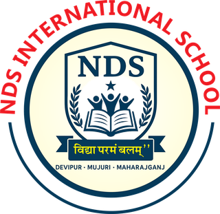 NDS Logo